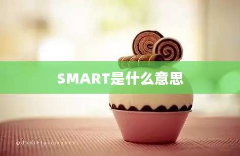 SMART是什么意思