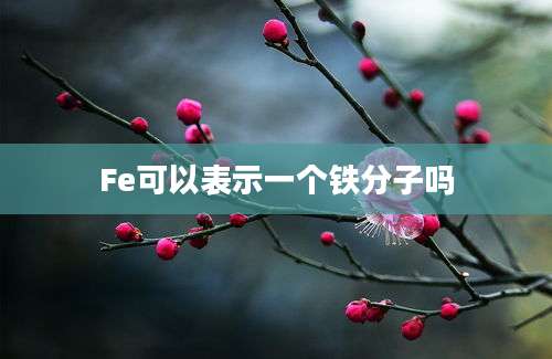 Fe可以表示一个铁分子吗