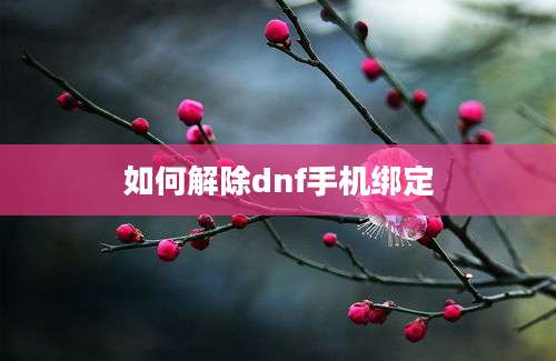 如何解除dnf手机绑定