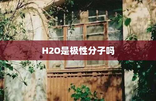 H2O是极性分子吗