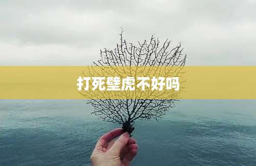 打死壁虎不好吗