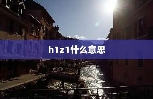 h1z1什么意思