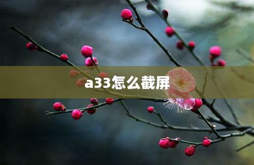 a33怎么截屏