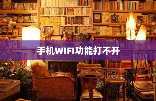 手机WIFI功能打不开