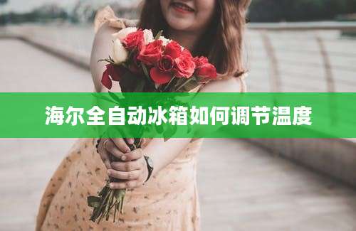 海尔全自动冰箱如何调节温度