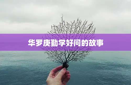 华罗庚勤学好问的故事