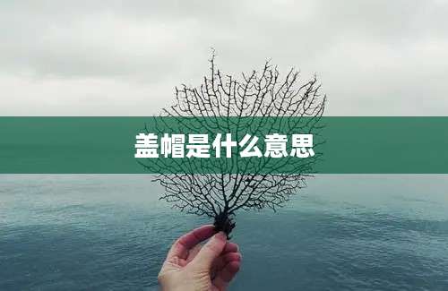 盖帽是什么意思