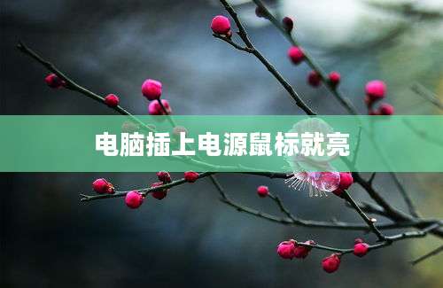 电脑插上电源鼠标就亮