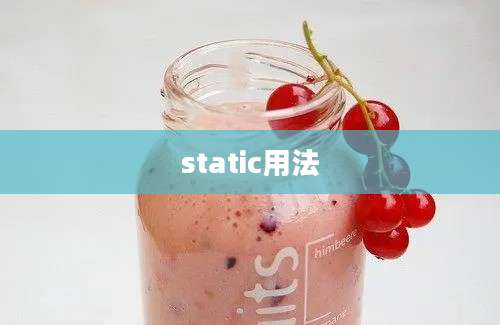 static用法