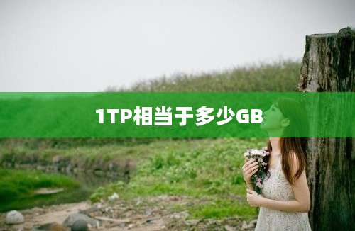 1TP相当于多少GB