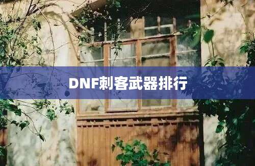 DNF刺客武器排行