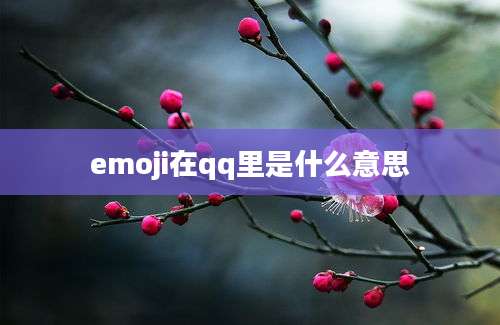 emoji在qq里是什么意思