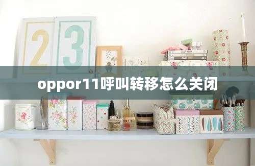 oppor11呼叫转移怎么关闭