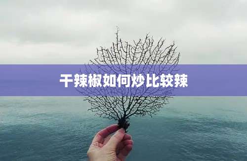 干辣椒如何炒比较辣