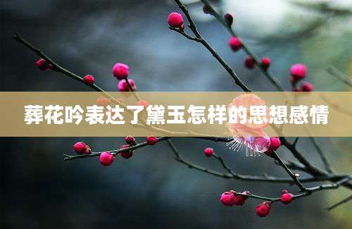 葬花吟表达了黛玉怎样的思想感情