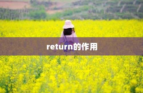 return的作用