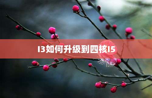 I3如何升级到四核I5