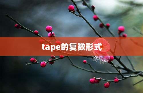 tape的复数形式