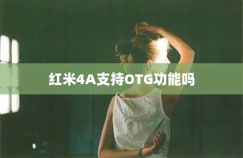 红米4A支持OTG功能吗