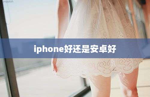 iphone好还是安卓好