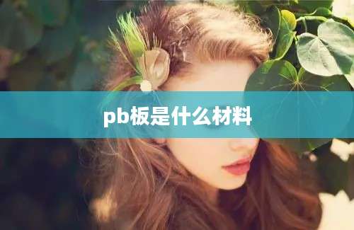 pb板是什么材料