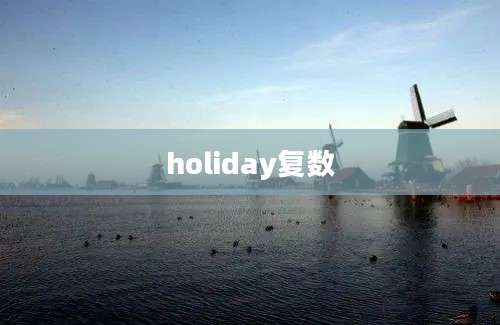 holiday复数