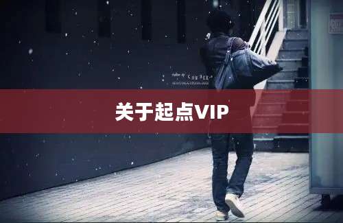 关于起点VIP