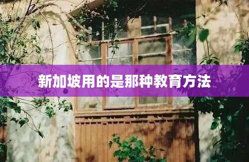 新加坡用的是那种教育方法