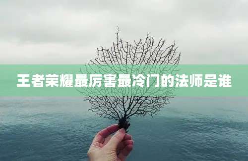 王者荣耀最厉害最冷门的法师是谁