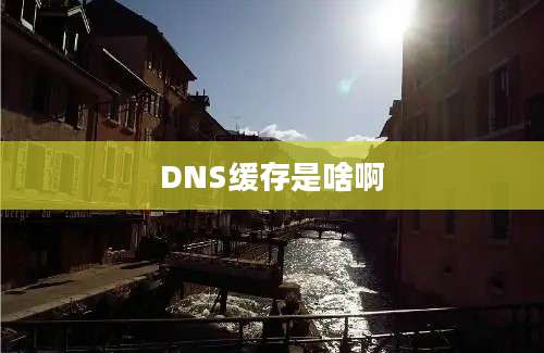 DNS缓存是啥啊