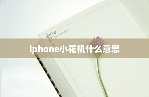 iphone小花机什么意思