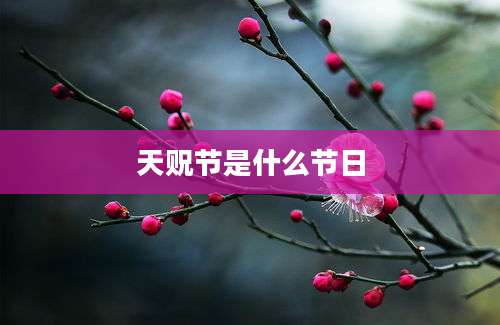 天贶节是什么节日