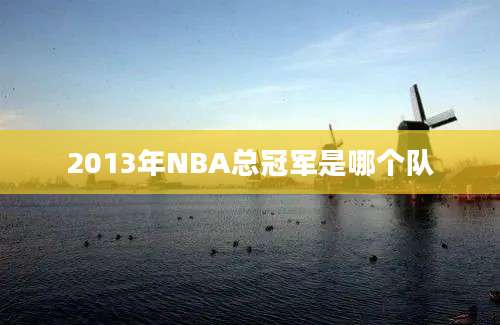 2013年NBA总冠军是哪个队