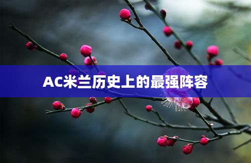 AC米兰历史上的最强阵容