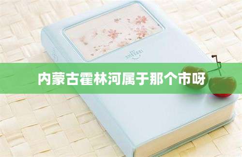 内蒙古霍林河属于那个市呀