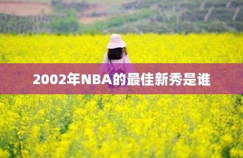 2002年NBA的最佳新秀是谁