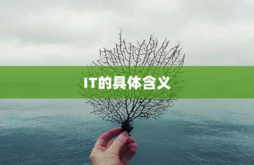 IT的具体含义