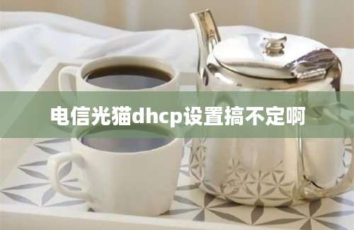 电信光猫dhcp设置搞不定啊