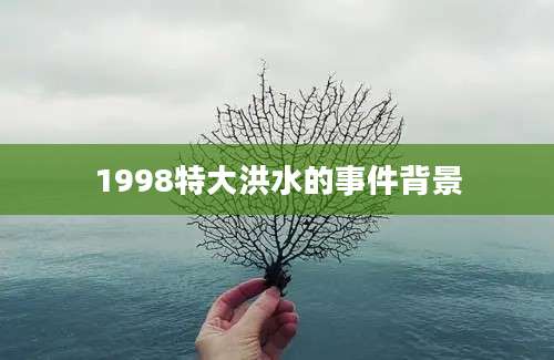 1998特大洪水的事件背景