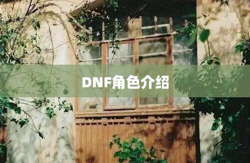 DNF角色介绍