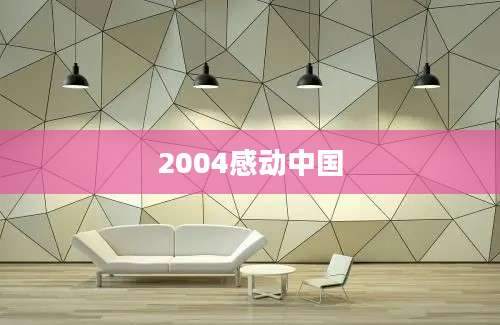 2004感动中国