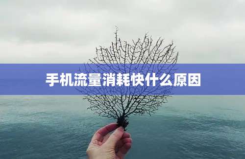 手机流量消耗快什么原因