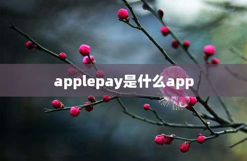 applepay是什么app