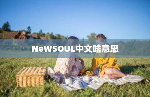 NeWSOUL中文啥意思