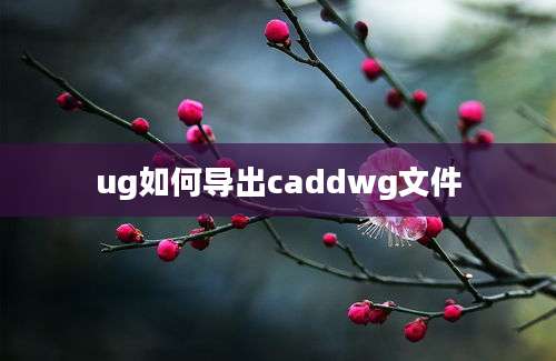 ug如何导出caddwg文件