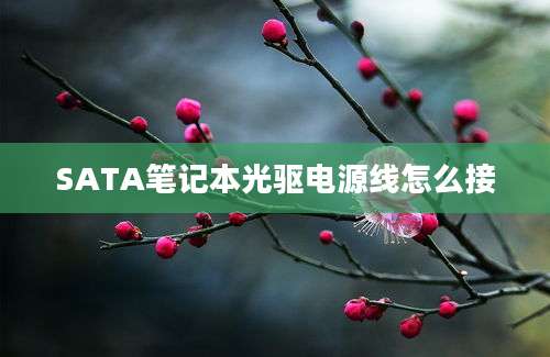 SATA笔记本光驱电源线怎么接