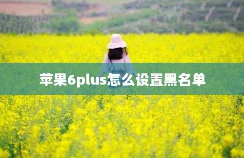 苹果6plus怎么设置黑名单