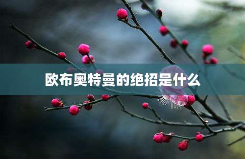 欧布奥特曼的绝招是什么