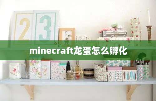 minecraft龙蛋怎么孵化