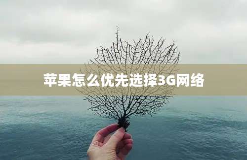 苹果怎么优先选择3G网络